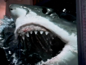 Visual Effects Video